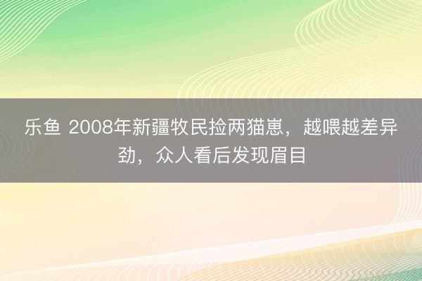 乐鱼 2008年新疆牧民捡两猫崽,越喂越差异劲,众人看后发现眉目