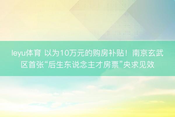 leyu体育 以为10万元的购房补贴！南京玄武区首张“后生东说念主才房票”央求见效