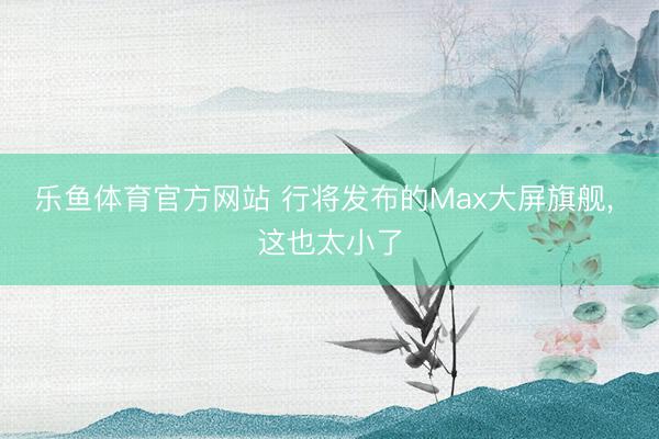 乐鱼体育官方网站 行将发布的Max大屏旗舰, 这也太小了