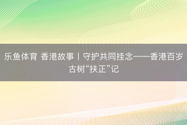 乐鱼体育 香港故事丨守护共同挂念——香港百岁古树“扶正”记